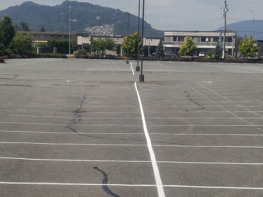 Calgary Asphalt Crack Repair