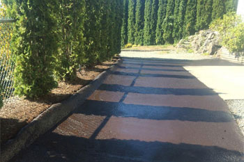 Asphalt Sealing